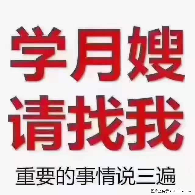 为什么要学习月嫂,育婴师? - 新手上路 - 平凉生活社区 - 平凉28生活网 pl.28life.com