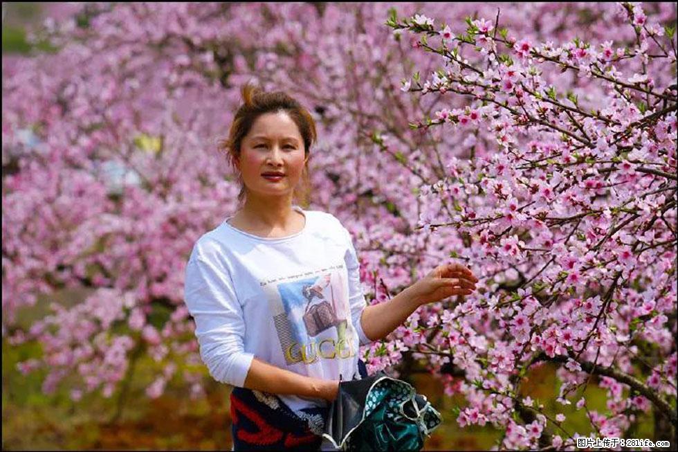 【春天,广西桂林灌阳县向您发出邀请!】官庄村有个醉美的桃花园 - 游山玩水 - 平凉生活社区 - 平凉28生活网 pl.28life.com