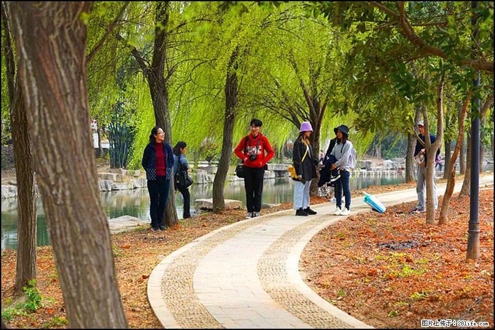 【春天,广西桂林灌阳县向您发出邀请!】江口老街又逢春 - 游山玩水 - 平凉生活社区 - 平凉28生活网 pl.28life.com