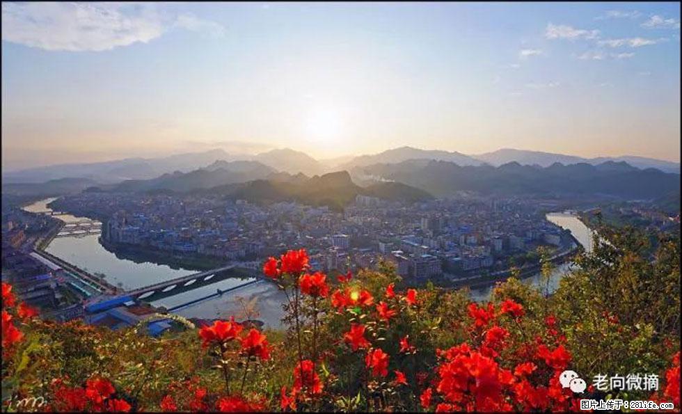 【春天,广西桂林灌阳县向您发出邀请!】登麒麟山,相约映山红 - 游山玩水 - 平凉生活社区 - 平凉28生活网 pl.28life.com