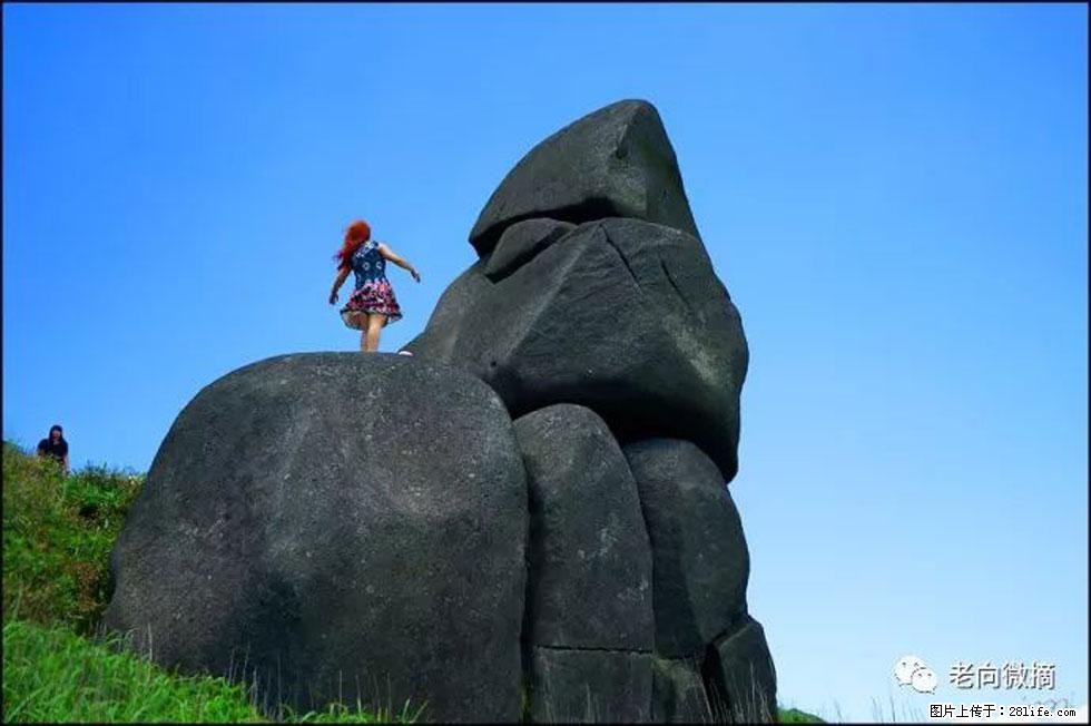 【春天,广西桂林灌阳县向您发出邀请!】宝盖山上映山红 - 游山玩水 - 平凉生活社区 - 平凉28生活网 pl.28life.com