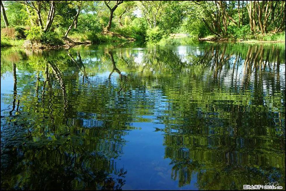 【春天,广西桂林灌阳县向您发出邀请!】熊家寨湿地公园 - 游山玩水 - 平凉生活社区 - 平凉28生活网 pl.28life.com