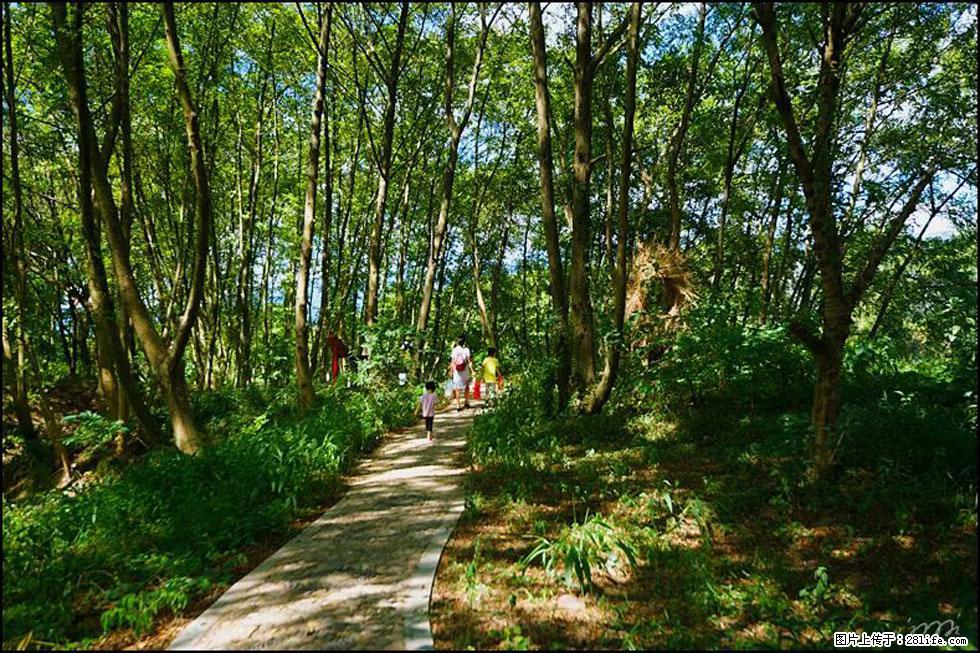 【春天,广西桂林灌阳县向您发出邀请!】熊家寨湿地公园 - 游山玩水 - 平凉生活社区 - 平凉28生活网 pl.28life.com