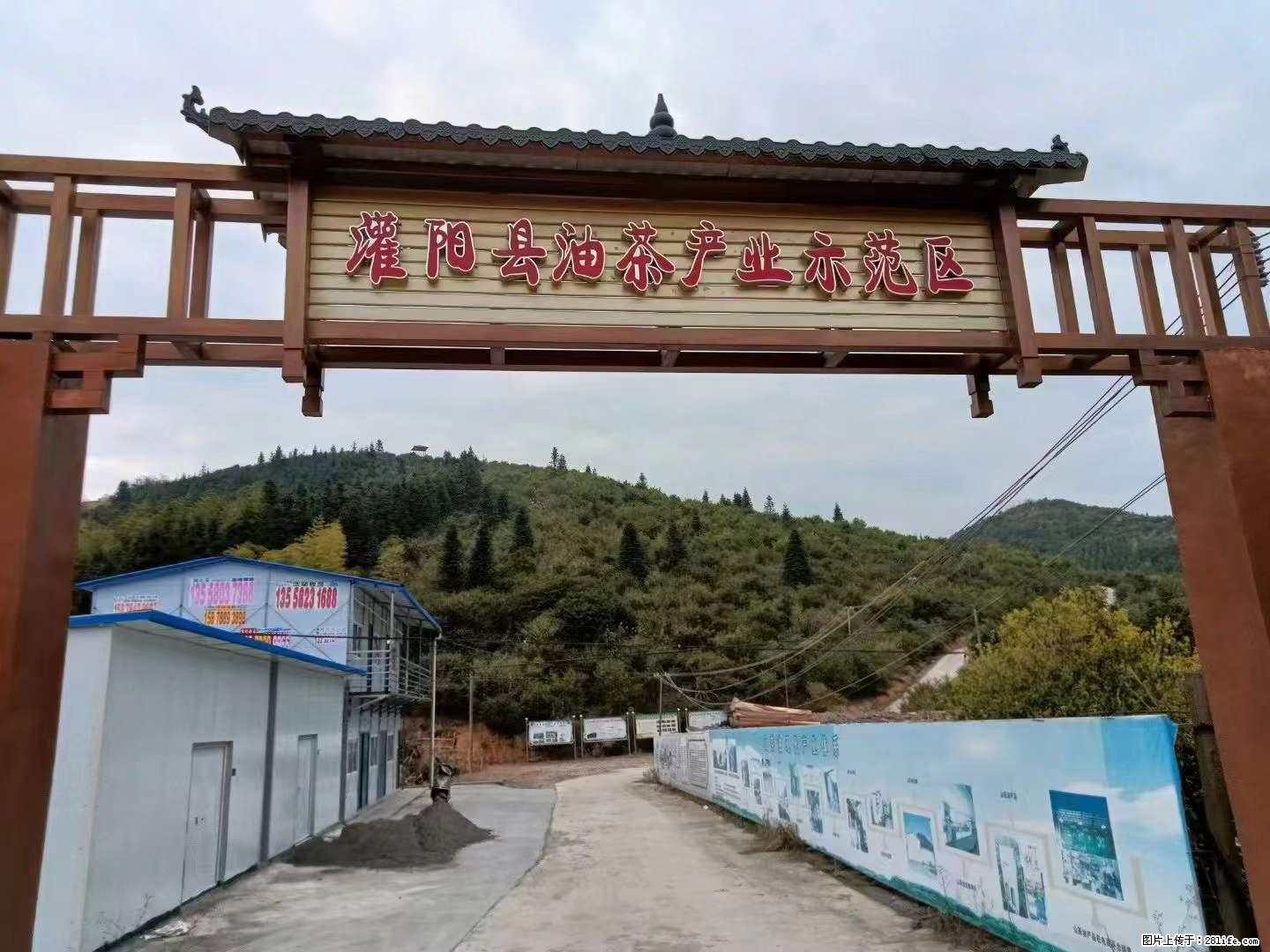 【灌阳县油茶产业示范区】一个有着充实的精神生活的人,对待身外之物自会有一种淡泊的态度 - 美食天地 - 平凉生活社区 - 平凉28生活网 pl.28life.com