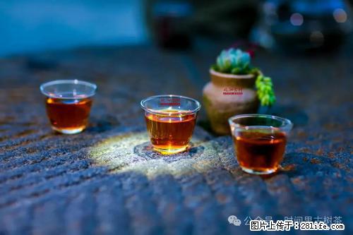 时间果百年古树2025年春红茶 - 购物交流 - 平凉生活社区 - 平凉28生活网 pl.28life.com