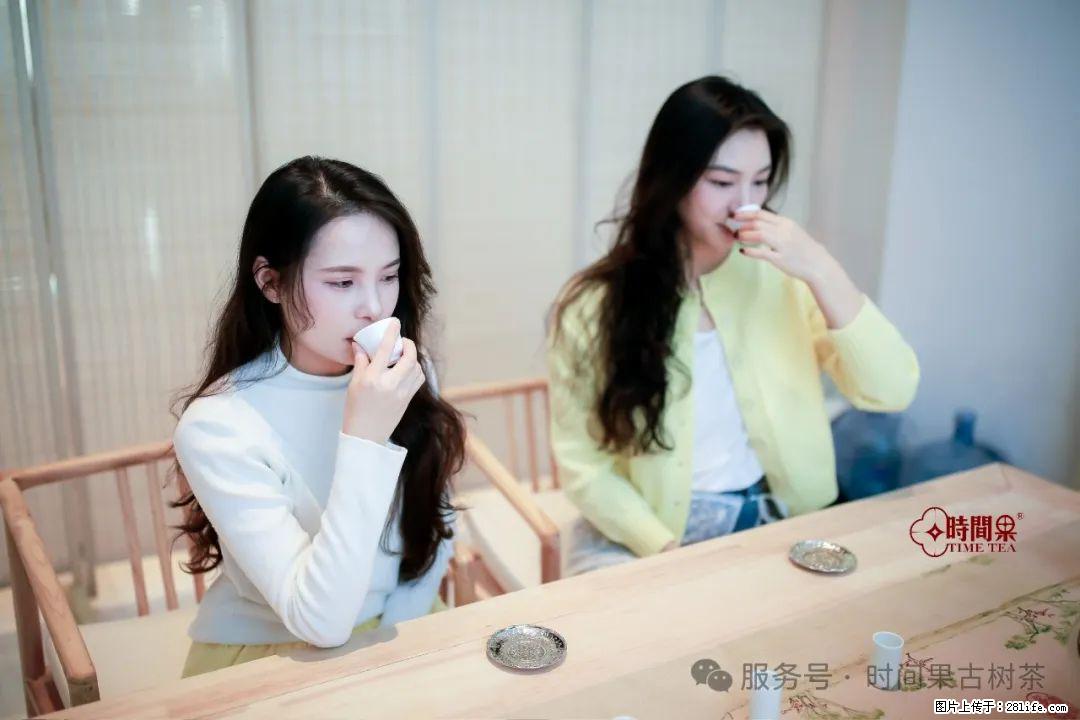 时间果百年古树龙珠普洱生茶 - 购物交流 - 平凉生活社区 - 平凉28生活网 pl.28life.com