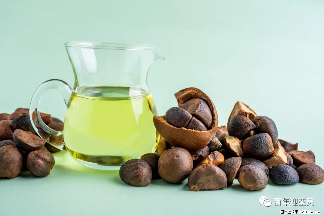 世界没有真相，只有认知，最好的食用油是中国的山茶油！ - 平凉生活资讯 - 平凉28生活网 pl.28life.com