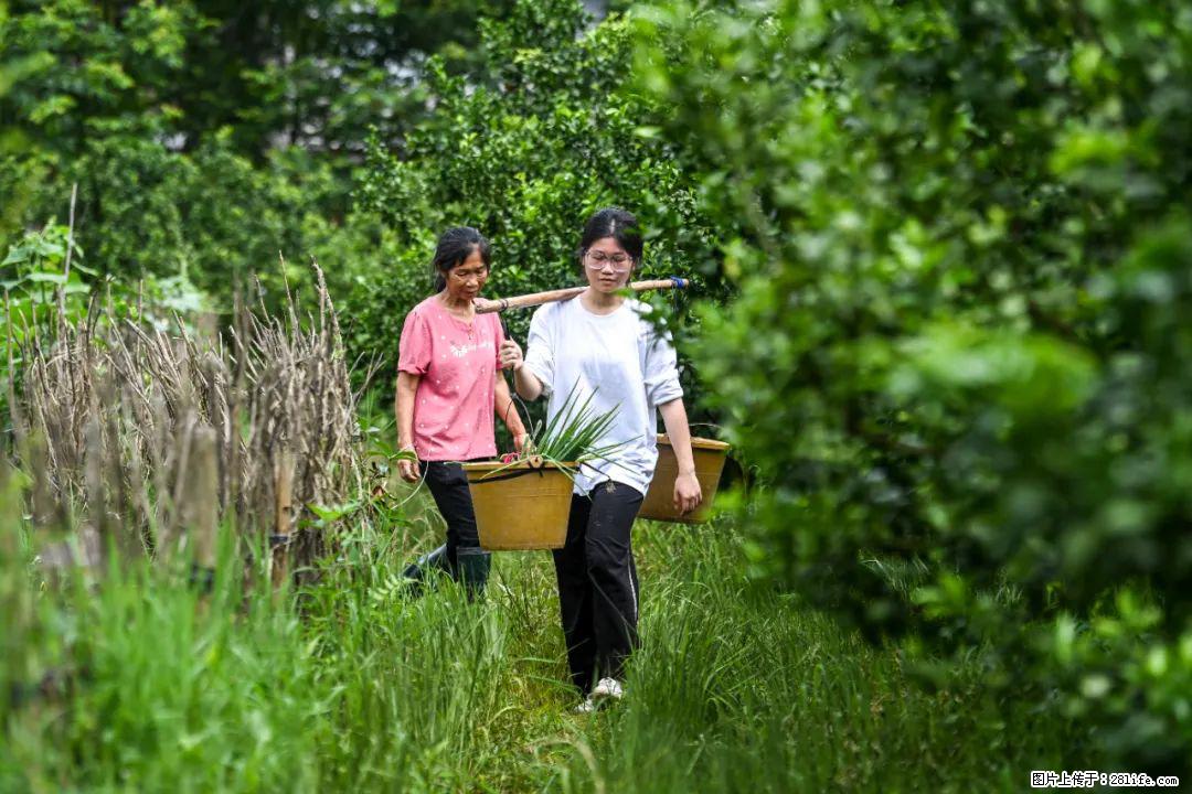 全网追的“扁担女孩”,找了一份暑假工,时薪12元 - 平凉生活资讯 - 平凉28生活网 pl.28life.com