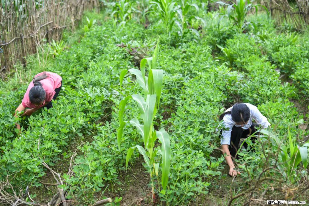 全网追的“扁担女孩”,找了一份暑假工,时薪12元 - 平凉生活资讯 - 平凉28生活网 pl.28life.com