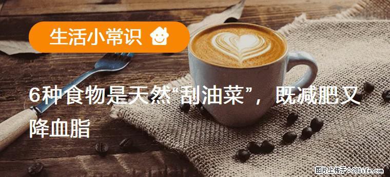 【生活小常识】6种食物是天然“刮油菜”，既减肥又降血脂 - 平凉生活资讯 - 平凉28生活网 pl.28life.com
