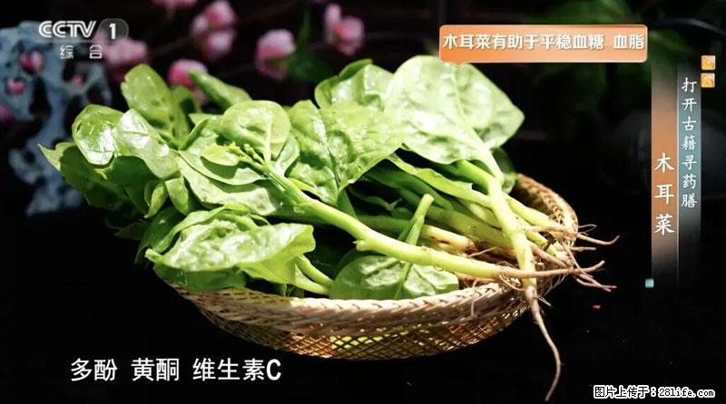 比牛奶补钙还厉害!凉血解毒、稳血糖...这菜冬天必吃,很多人却当草 - 平凉生活资讯 - 平凉28生活网 pl.28life.com