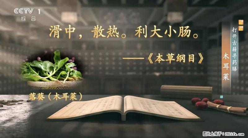 比牛奶补钙还厉害!凉血解毒、稳血糖...这菜冬天必吃,很多人却当草 - 平凉生活资讯 - 平凉28生活网 pl.28life.com