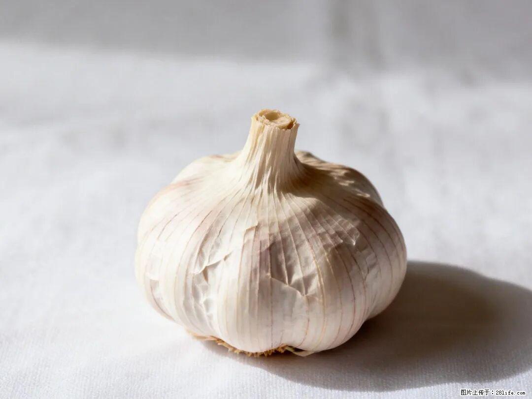 关于大蒜,除了“天然抗生素”,这4个谣言更该警惕! - 平凉生活资讯 - 平凉28生活网 pl.28life.com