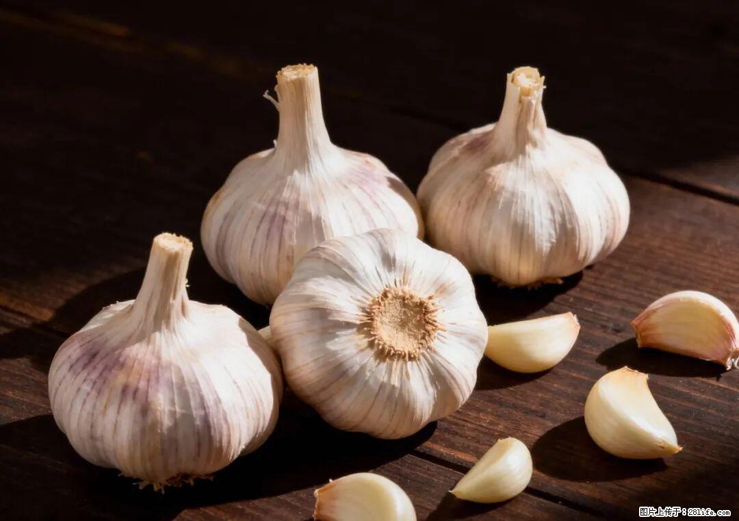 关于大蒜,除了“天然抗生素”,这4个谣言更该警惕! - 平凉生活资讯 - 平凉28生活网 pl.28life.com