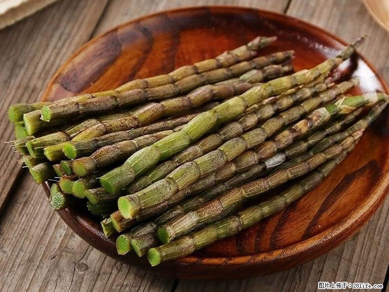 铁皮石斛的作用与功能主治 - 平凉生活资讯 - 平凉28生活网 pl.28life.com